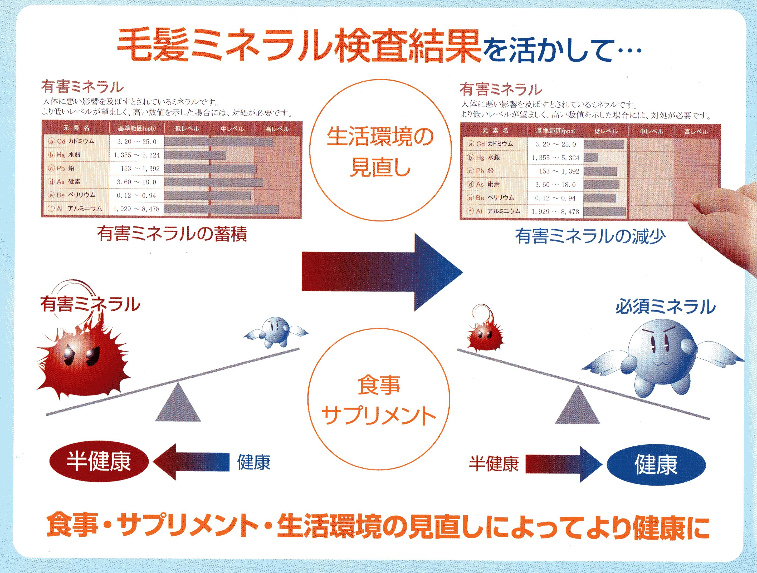 2021年製 毛髪ミネラル検査 必須ミネラル12元素 有害金属5元素 準有害金属3元素 参考ミネラル3元素 その他の金属6元素 