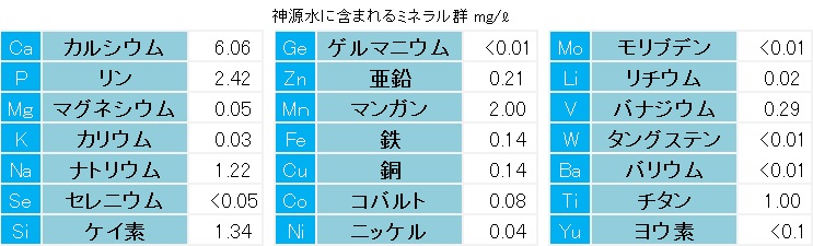 成分分析表(神源水）